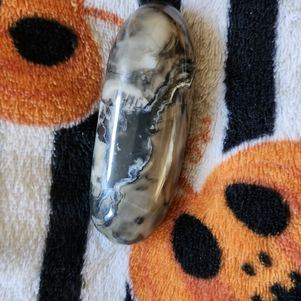 Volcano Agate Palm Stone